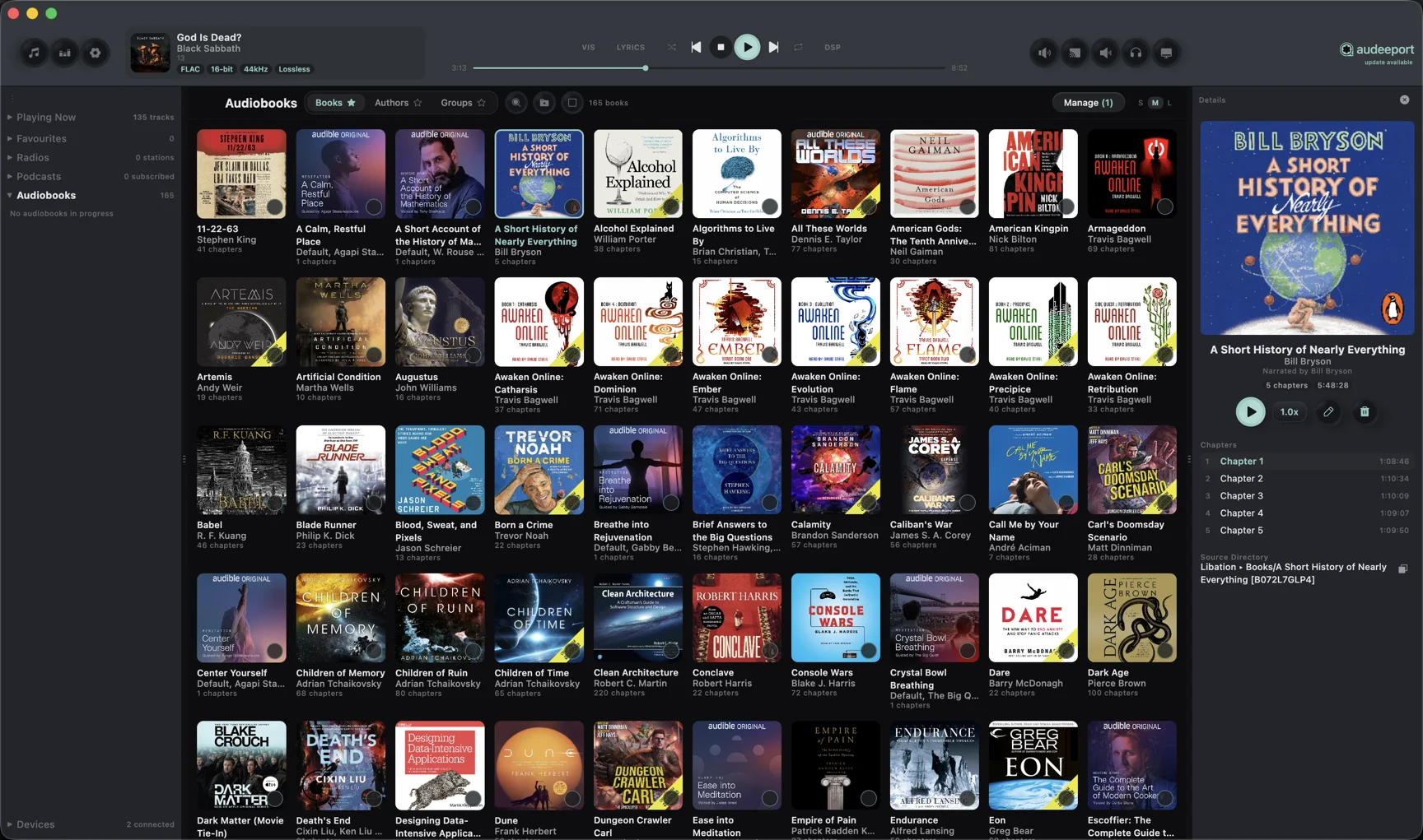 Audiobook detail panel with chapter list
